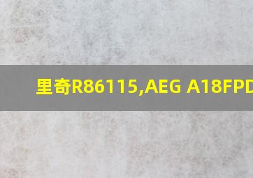 里奇R86115,AEG A18FPD同款